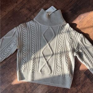 Aritzia HERITAGE KNIT MERINO WOOL HI-HIP turtleneck